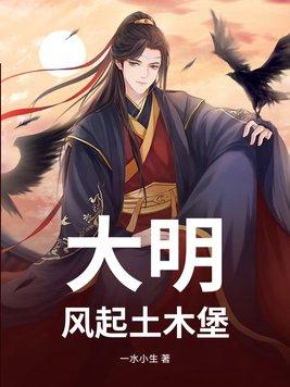 大明风华土木堡