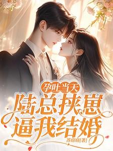 突然孕吐总裁紧张叫老婆是什么