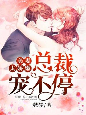 美妻太娇嫩总裁宠不停