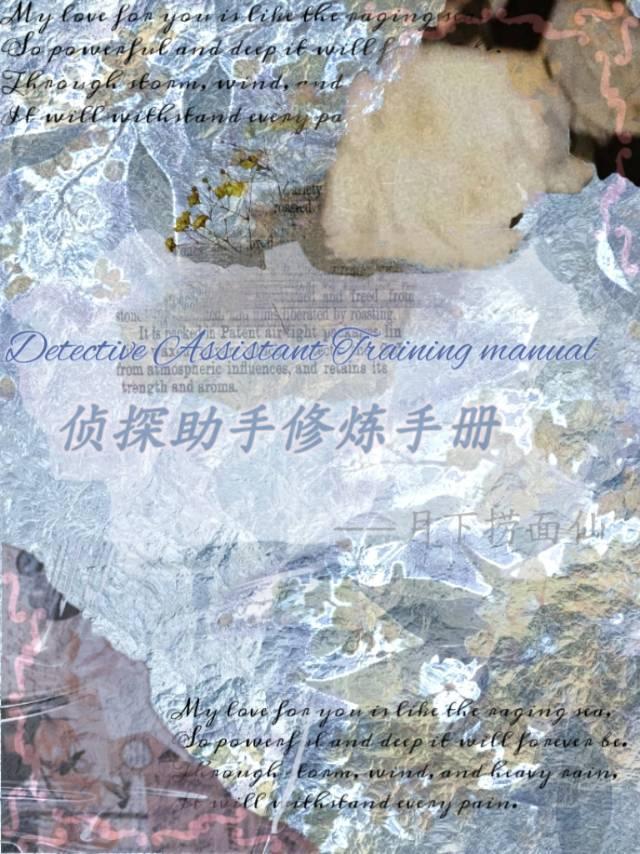 侦探助手是干什么的