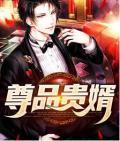 尊品贵婿全文免费阅读