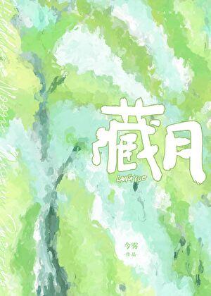 藏服女装图片