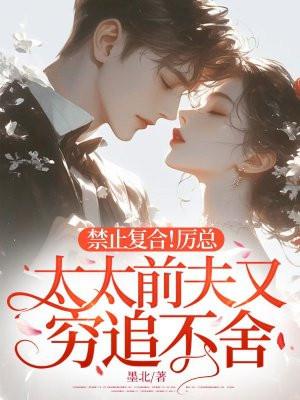 厉太太我们复婚吧全文免费阅读