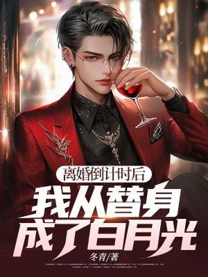 离婚倒计时 不厌 番外
