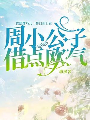 男主叫周公子的