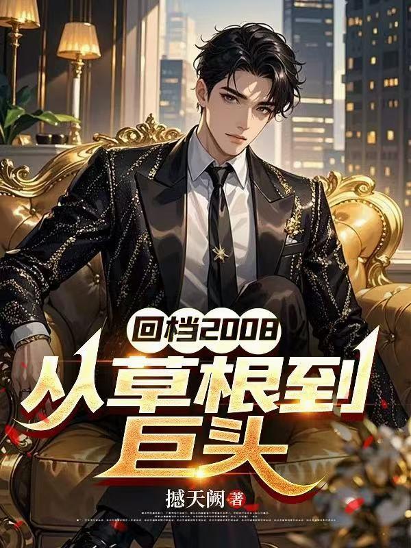 回档2008从草根到巨头撼天阙
