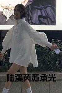 男主叫陆承