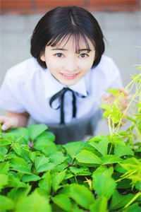 引来女婿气走儿子