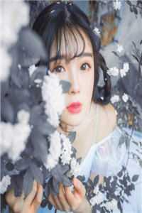 歌曲旧情