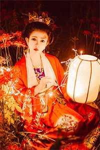 凤凰之心技能
