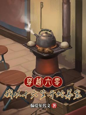 穿越六零我从十六岁开始养家笔趣阁