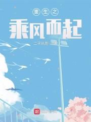 重生之乘风而起女主有几个