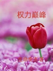 权力巅峰的人生 权力巅峰的人生