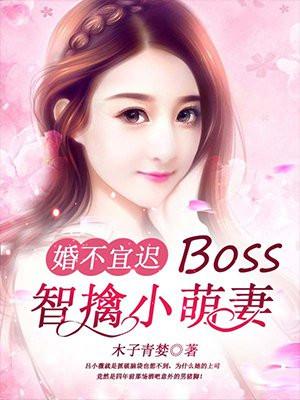 婚不宜迟:Boss智擒小萌妻 婚不宜迟:Boss智擒小萌妻