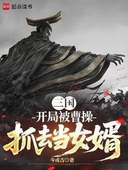 三国:开局被曹操抓去当女婿 三国:开局被曹操抓去当女婿