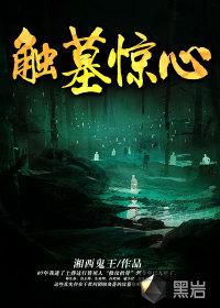 触墓惊心 触墓惊心