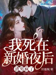 我死在新婚夜后,渣男疯了苏菀陆时晏 我死在新婚夜后,渣男疯了苏菀陆时晏