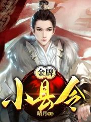 金牌小县令 金牌小县令
