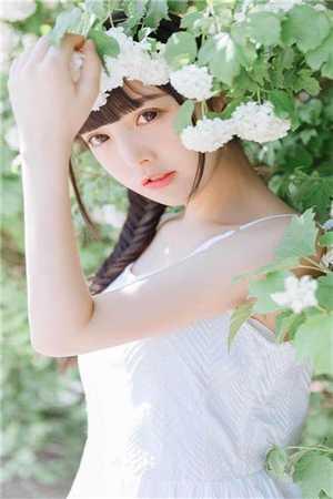 妃妃茶又野 妃妃茶又野