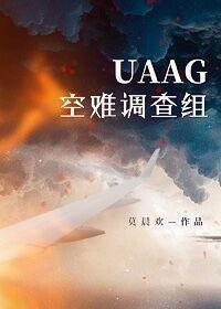 UAAG空难调查组 UAAG空难调查组