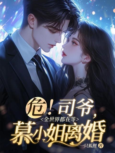 危!司爷,全世界都在等慕小姐离婚 危!司爷,全世界都在等慕小姐离婚