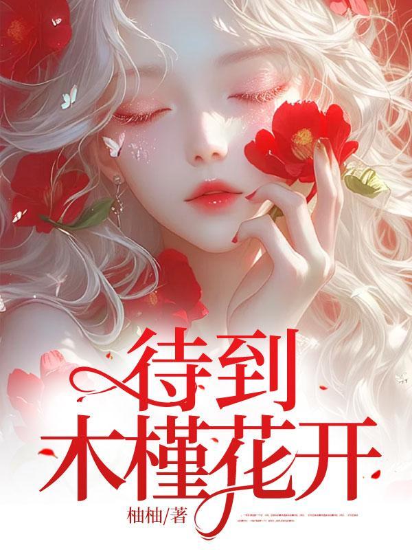 待到木槿花开 待到木槿花开