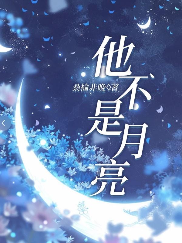 他不是月亮 他不是月亮