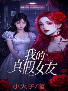 我的真假女友 我的真假女友