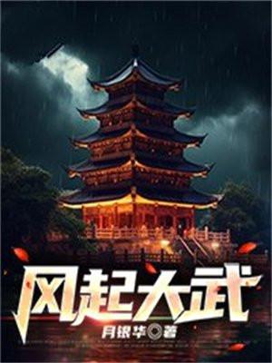 风起大武 风起大武