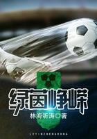 绿茵峥嵘 绿茵峥嵘