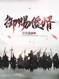 御赐傻婿 御赐傻婿