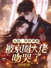 入夜,娇软乖乖被京圈大佬吻哭了 入夜,娇软乖乖被京圈大佬吻哭了