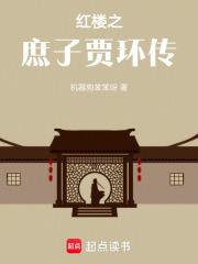 红楼之庶子贾环传 红楼之庶子贾环传