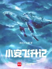 小安飞升记 小安飞升记