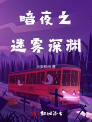 暗夜之迷雾深渊 暗夜之迷雾深渊