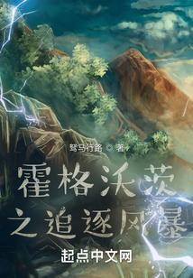 霍格沃茨之追逐风暴 霍格沃茨之追逐风暴