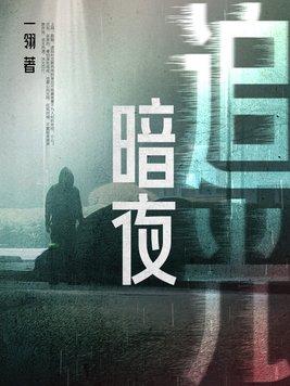 暗夜追光 暗夜追光