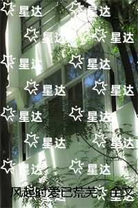 风起时爱已荒芜:完结+番外 风起时爱已荒芜:完结+番外