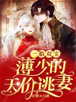 一胎双宝,薄少的天价逃妻 一胎双宝,薄少的天价逃妻