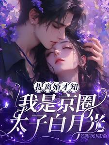 提离婚才知,我是京圈太子白月光 提离婚才知,我是京圈太子白月光